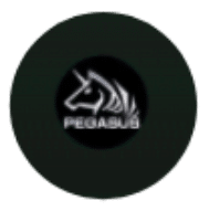 Pedasus